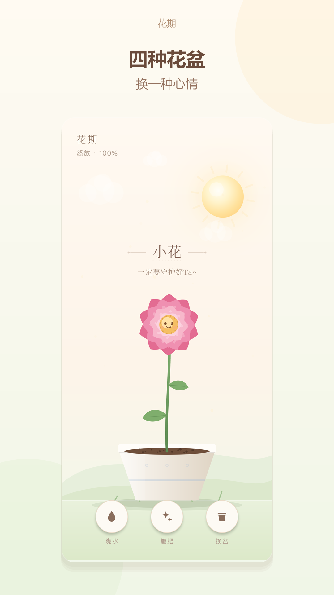 花期:换花盆
